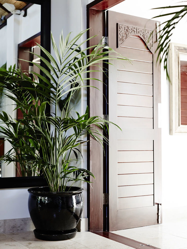 The Villas Of Byron Byron Bay Exteriör bild